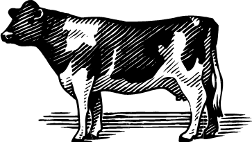 Dairy