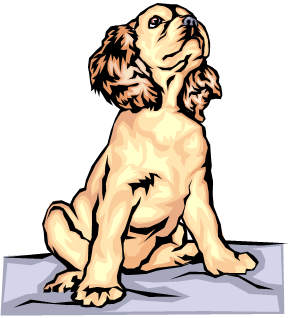 Dogs