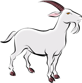 Goats