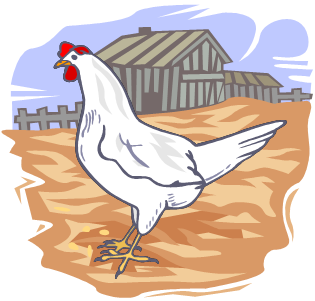 Poultry